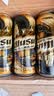 乌苏啤酒（wusu）乌苏黑啤500mL*12罐 整箱装 焦香醇香 聚会宴请京东自营 中秋送礼 实拍图