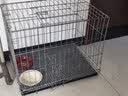 憨憨宠狗笼中小型犬狗笼子大猫笼带厕所加粗折叠宠物笼子柯基笼幼犬狗笼 加粗狗笼 银色 71*60*50cm 建议25斤内 带托盘式厕所+防卡脚垫片 实拍图