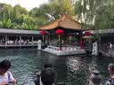 京鲜生【顶瓜瓜】瓜香满堂·四喜组合 净重10-12斤生鲜中秋水果礼盒 实拍图