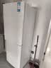 美的（Midea）186L二门两门冰箱双系统双循环风冷无霜租房小户型双门电冰箱家用宿舍办公室客厅小冰箱国家补贴 「新品 一级能效」MR-196W 极地白 实拍图