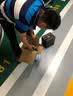 风帆（sail）汽车电瓶蓄电池6-QW-36 本田飞度丰田特锐 以旧换新价原厂配套 实拍图