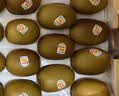 佳沛（zespri）新西兰金奇异果30-33粒原箱103-124g猕猴桃中秋节礼品送水果礼盒 实拍图