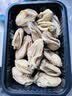北海印象金蚝干大号250g牡蛎干蚝干香煎煲汤煮粥火锅食材北海特产节日礼品 实拍图