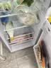 志高（CHIGO）小冰箱迷你小型家用冷藏冷冻两用宿舍出租房用双门办公室电冰箱节能省电 【一级能效】118L银色【全国联保丨节能省电】 实拍图