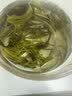凯卓茶叶绿茶毛尖茶2026新茶明前特级信阳浓香型嫩芽送礼茶叶礼盒500g 实拍图