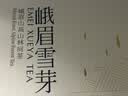 峨眉雪芽2026年新茶 小罐装茶金罐 绿茶花茶红茶茗茶礼盒6g*12罐 实拍图