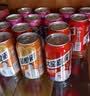 大窑嘉宾汽水330ml*24罐混合整箱易拉罐荔枝味橙味装果味碳酸饮料饮品 多味组合330ml*12罐 实拍图