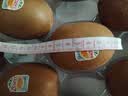 佳沛（zespri）新西兰 金奇异果特大果15粒134-146g猕猴桃中秋节礼品送水果礼盒 实拍图
