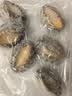 海鲜世家去肚特大鲍鱼12粒装360g盒装免处理火锅烧烤食材海鲜礼盒家庭聚餐 实拍图