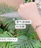 OHBT防晒喷雾霜高倍防紫外线50+男女士户外军训专用防水防汗大人儿童 实拍图