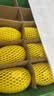 佳沛（zespri）新西兰金奇异果10个装单果重103-114g猕猴桃中秋节礼品送水果礼盒 实拍图
