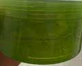 自然乐园芦荟胶晒后修复凝胶补水保湿身体乳液面霜女男士300ml 实拍图