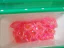 超能【肖战同款】云感香柔(花漾护色)洗衣凝珠36颗浓缩洗衣液护色留香 实拍图