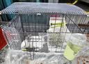 腆宠狗笼狗窝猫笼狗笼子中小型犬带厕所猫笼子大号家用室内狗围栏兔笼 实拍图