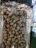 素养生活有机生鹰嘴豆650g 生豆 杂粮粗粮 鸡心豆沙拉 栗香 打豆浆 实拍图