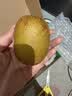佳沛（zespri）新西兰金奇异果8粒超大果175-204g猕猴桃中秋节礼品送水果礼盒 实拍图