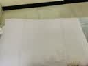 艾薇决明子枕头颈椎枕枕芯整头学生宿舍酒店睡眠枕头一只装  45*70cm 实拍图
