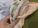 婧麒孕妇内裤女士棉孕产妇通用棉大码四季肤+粉+紫+绿 XL jnk0362 实拍图