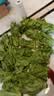 生吃意大利奶油生菜新鲜生菜即食沙拉蔬菜火锅烤肉整箱烧烤涮菜 地头现摘 鲜嫩脆甜【常温发货】 河南意大利生菜整箱5斤（净重4.6斤） 实拍图