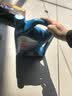 壳牌（Shell）三代蓝壳HX7 PLUS全合成机油5w-40(5w40)SP级 4L汽车保养京东自营 实拍图