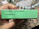 [原研进口]幸福科达琳 复方氨酚肾素片12片 感冒 过敏性鼻炎  发热头痛 实拍图