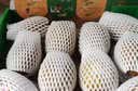 佳沛（zespri）新西兰金奇异果10粒巨大果146-175g猕猴桃中秋节礼品送水果礼盒 实拍图