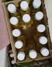 农夫山泉东方树叶绿茶500ml*15瓶无糖茶饮料0糖0脂0卡整箱装饮品 实拍图