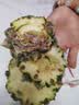 广东徐闻香水菠萝新鲜水果生鲜热带孕妇水果整箱包邮 【限时低价】1个装  净重650g起 实拍图