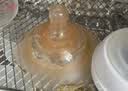 贝因美双层乳盾新生儿奶盾硅胶乳贴乳头牵引保护贴辅助喂奶工具奶嘴吸奶 实拍图