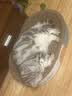 疯狂的主人猫抓板窝巨无霸猫玩具猫爪板猫抓盆不掉屑猫窝碗形圆形瓦楞纸 实拍图
