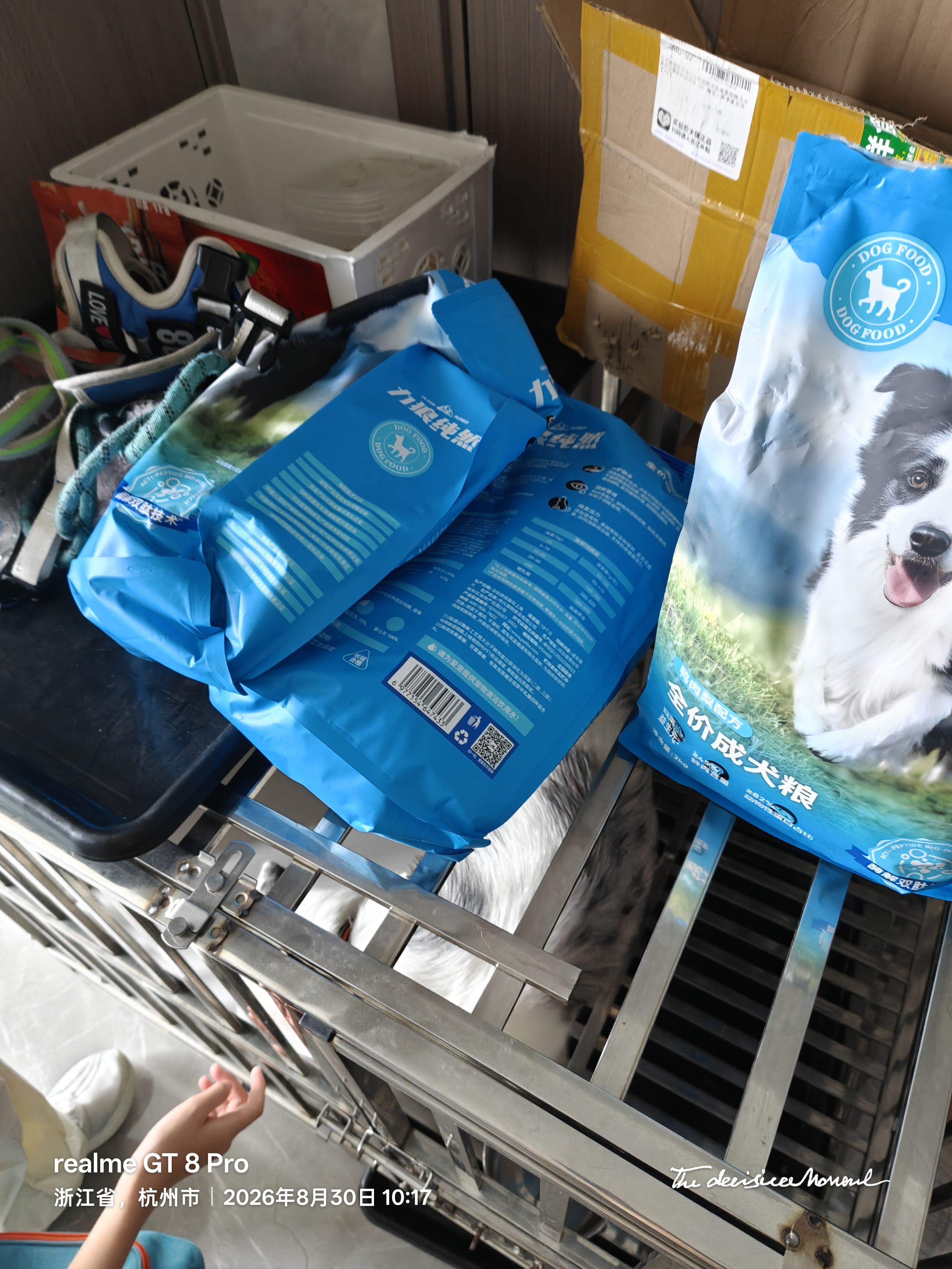 力狼（LILANG）狗粮鲜鸭肉梨配方中大小型成犬粮比熊柯基金毛通用狗粮10kg 实拍图