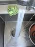 美的（Midea）净水器水龙头过滤器家用自来水滤水器直饮前置过滤器厨房卫生间通用除水垢除余氯双出水可清洗滤芯 一机三芯【两年免换滤芯】 实拍图