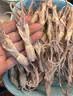 1号会员店（One's Member） 鸭舌组合400g （精选鸭舌300g+老卤汁100g）卤鸭舌酱鸭烧烤食材 实拍图