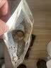 云山半芥末酱43g+海鲜刺身酱油230g 鱼生酱油青芥辣根寿司生鱼片蘸料 实拍图