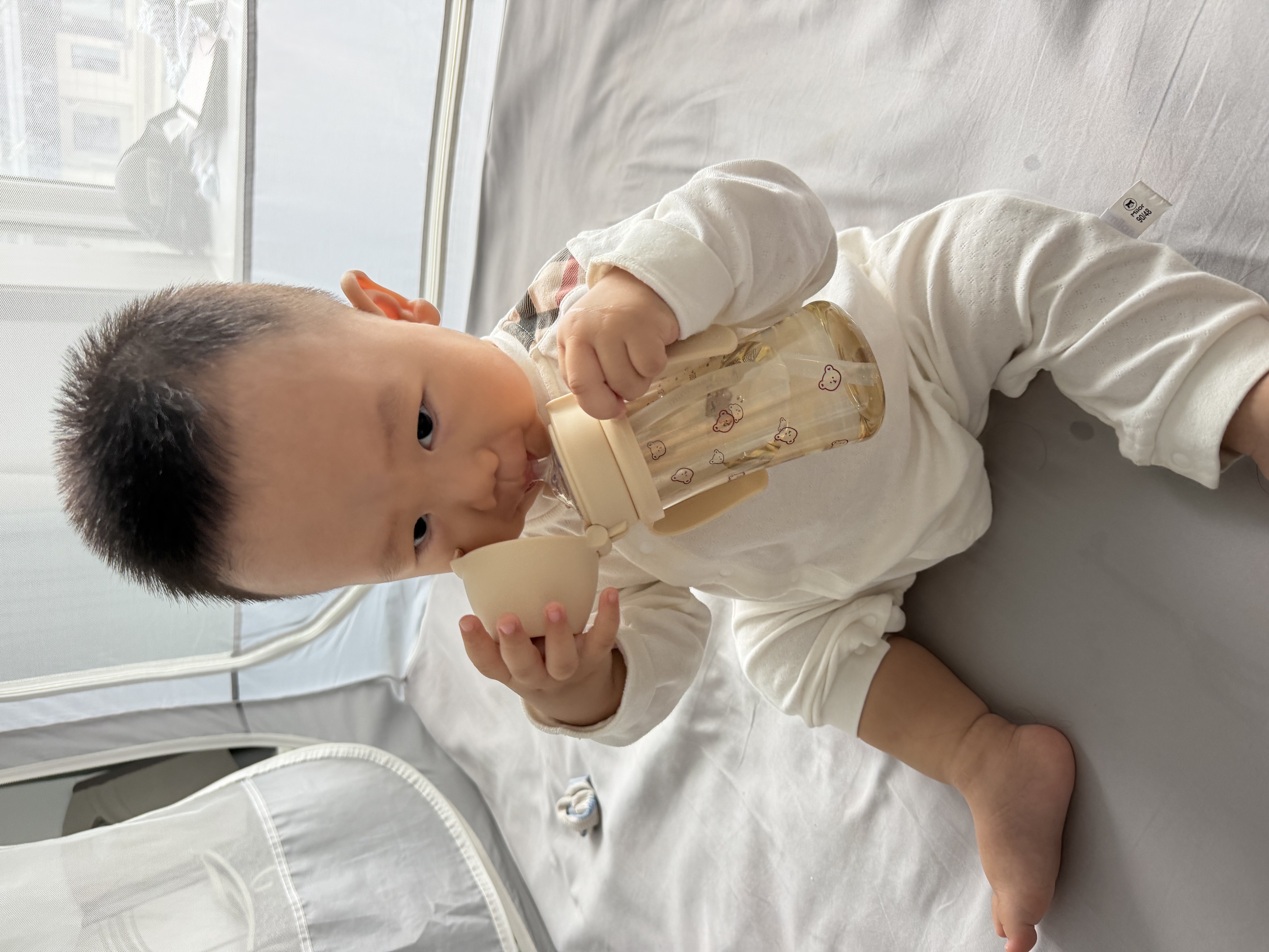 Grosmimi格罗咪咪吸管杯婴儿童水杯学直饮杯吸管奶瓶6-12月1-3岁以上通用 泡泡熊(重力球+直管) 300ML 实拍图