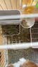 洁西（JESSIE） 烘干牧草四合一 兔子牧草干草提摩西小麦草燕麦草蒲公英兔粮250g 实拍图
