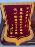 沪兴 锦旗定制卡3D立体镀金字订做制作送老师医生律师月嫂物业教师节礼物送老师 小龙须/普通黄字（含锦袋） 60*90cm 实拍图