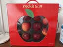 乐淇（ROCKIT）王一博同款新西兰火箭筒苹果10粒装 生鲜水果礼盒 源头直发 实拍图