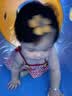 英氏（Engnice）米粉婴儿高铁有机米粉米糊辅食宝宝婴幼儿6个月以上罐装 10-12月加肉配方米粉鸡肉玉米胡萝卜 228g*1罐 实拍图