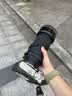腾龙（Tamron）A057S 150-500mm F/5-6.7 Di III VC VXD防抖 拍鸟体育超长焦索尼全画幅微单镜头(索尼全幅E口) 实拍图