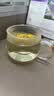 富光花茶杯透明茶杯内胆茶水分离杯办公室玻璃杯子水杯350ml 实拍图