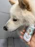 可悠然宠物护毛素修护滋养毛发水润亮泽除臭止痒猫咪狗狗亚麻籽精华60ml 实拍图