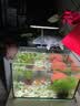 尼奥光（NEO-HELIOS）鱼缸灯水草灯LED灯S3pro+RGB植物光谱 【二代】8W尼奥S3【适用20-30鱼缸】 实拍图