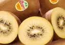 佳沛（zespri）新西兰金奇异果10个装单果重103-114g猕猴桃中秋节礼品送水果礼盒 实拍图