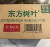 农夫山泉东方树叶茉莉花茶500ml*15瓶无糖茶饮料0糖0脂0卡整箱装 实拍图