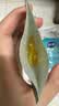 蘭（LAN）【先试后买】兰时光油3.0Pro精华油修护抗皱保湿 试用装1.8ml 实拍图