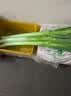 大葱约1kg 实拍图