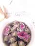 福东海 金边玫瑰花130g（花中精品）云南花茶干花蕾花草茶养生花茶叶 实拍图