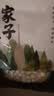 方家铺子莲子400g湘潭磨皮通芯大号白莲子去芯桂圆枸杞百合银耳羹粽子食材 实拍图