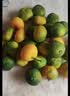 粤迎青皮蜜桔【闪送-源头直采】蜜橘子无籽新鲜现摘现发酸甜口感湖北 5斤精选果【单果50mm+】净4.0斤 实拍图